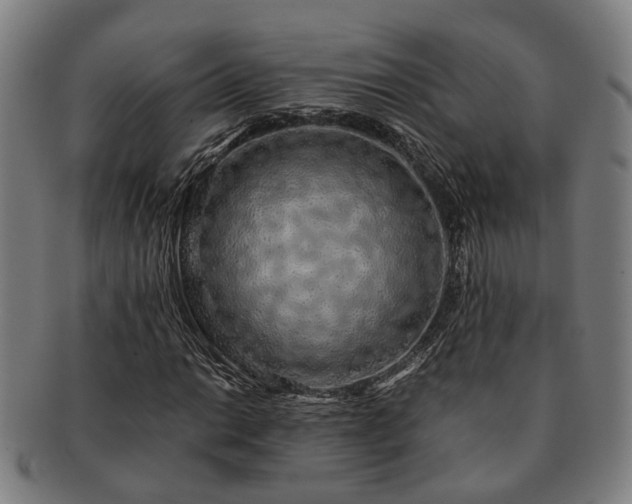 X0000091491014200708231417