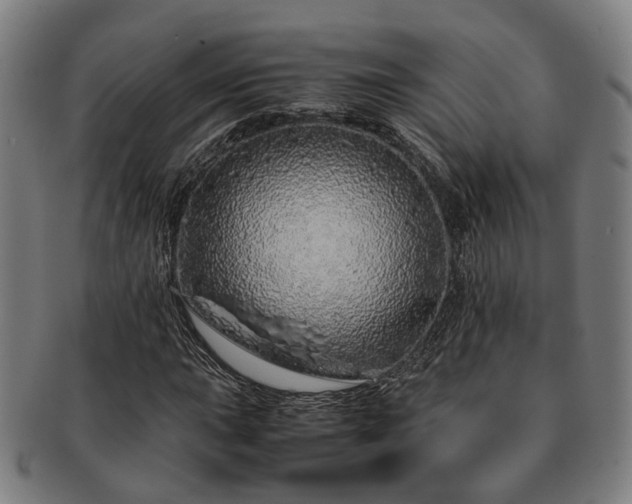 X0000091491015200708231417