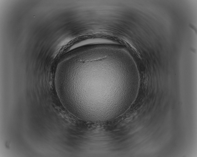 X0000091491016200708231417