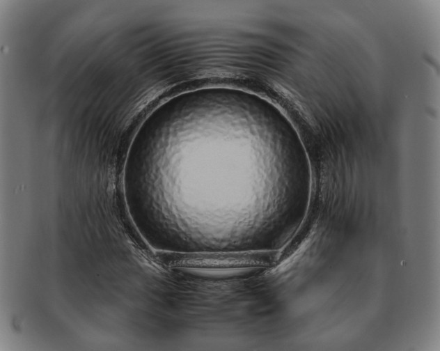 X0000091491017200708231417