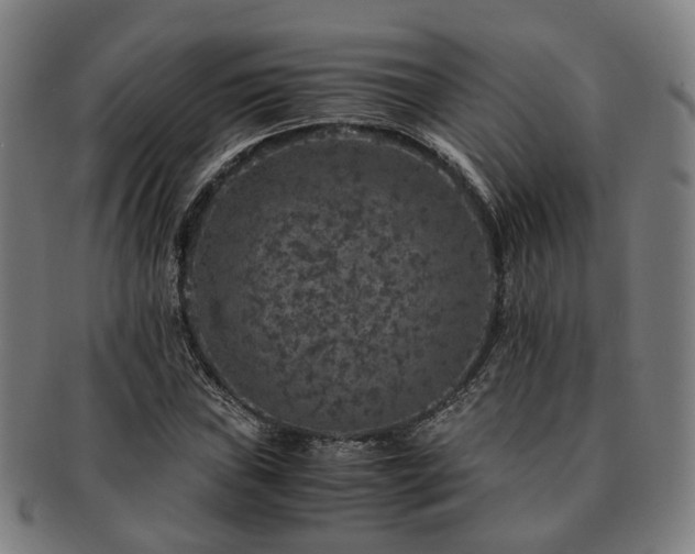X0000091491019200708231417