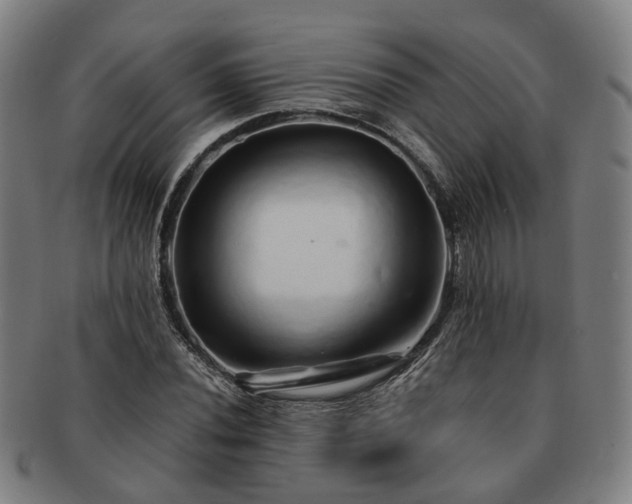 X0000091491020200708231417