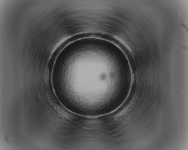 X0000091491021200708231417