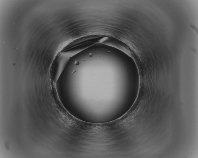 X0000091491022200708231417