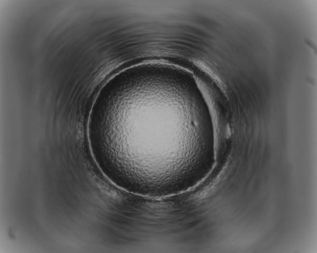 X0000091491025200708231417