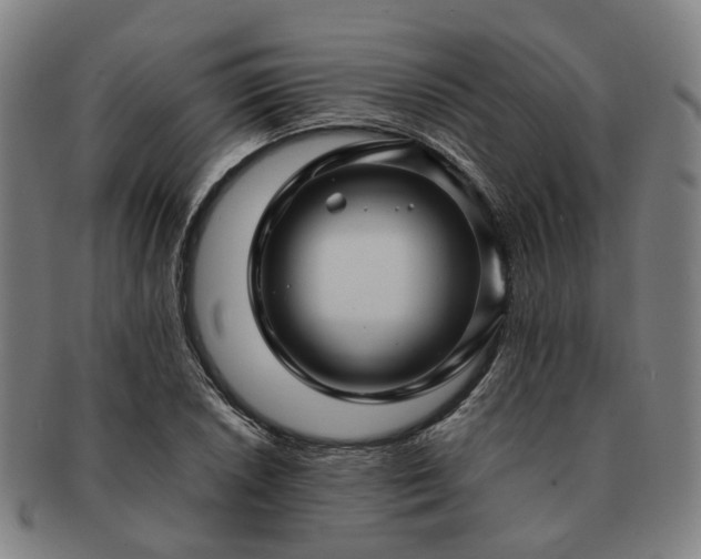 X0000091491026200708231417
