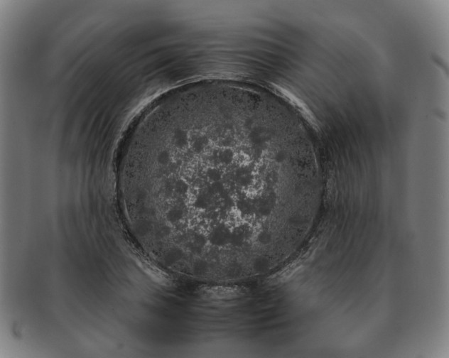 X0000091491027200708231417