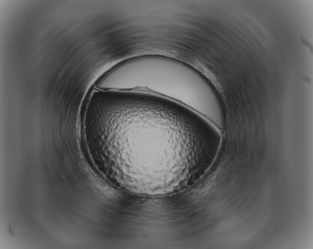 X0000091491028200708231417
