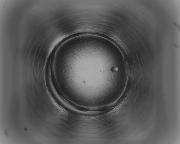 X0000091491030200708231418