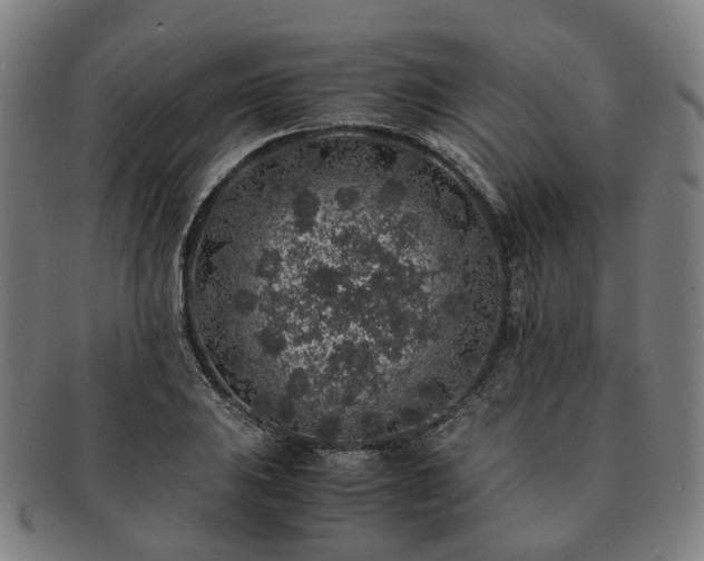 X0000091491031200708231418