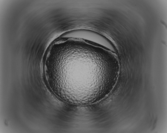 X0000091491032200708231418