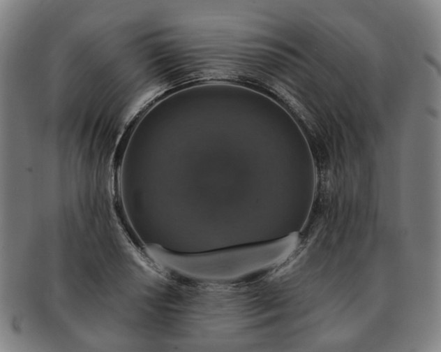 X0000091491034200708231418