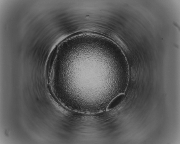 X0000091491036200708231418