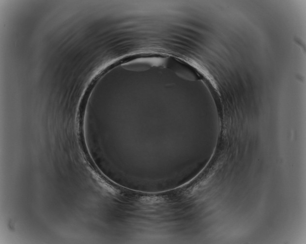 X0000091491037200708231418