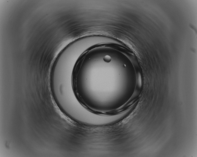 X0000091491038200708231418
