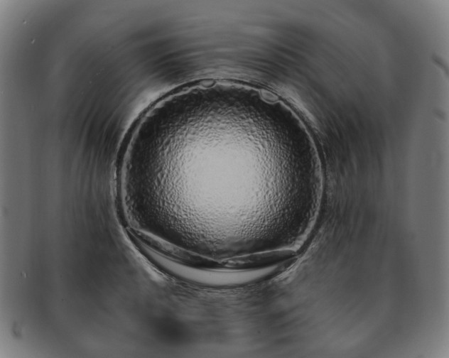 X0000091491040200708231418