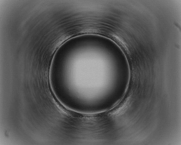 X0000091491041200708231418