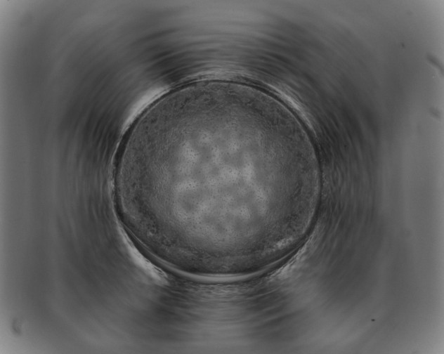 X0000091491042200708231418