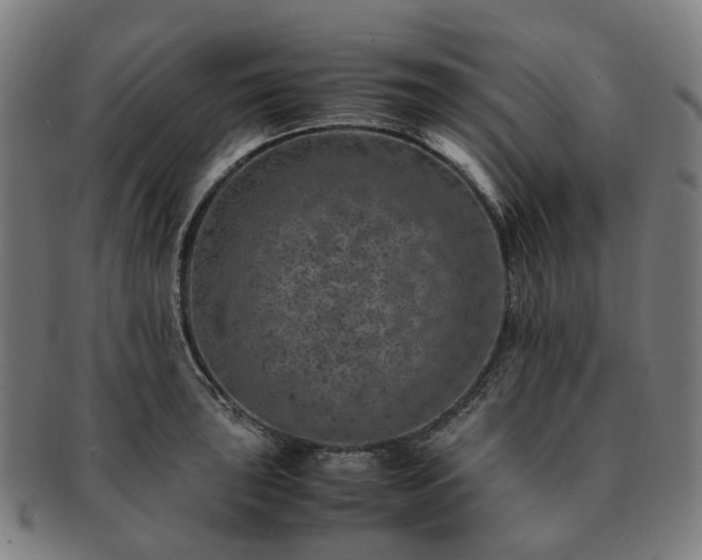 X0000091491043200708231418