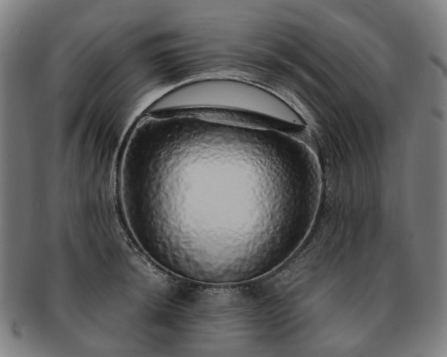 X0000091491044200708231418