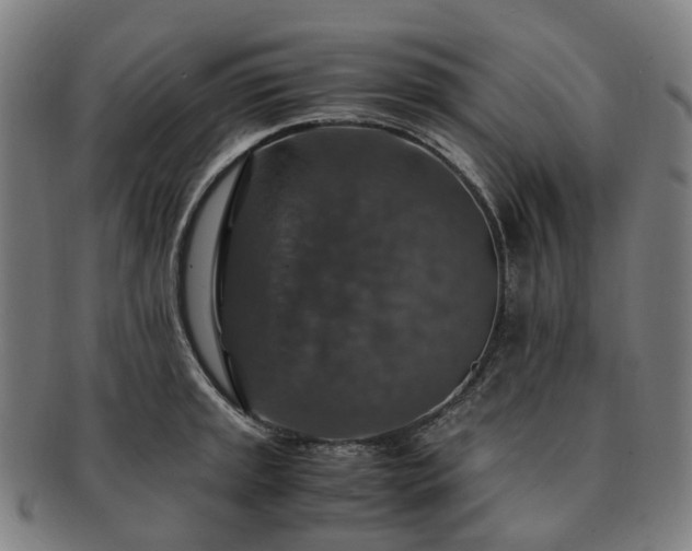 X0000091491045200708231418