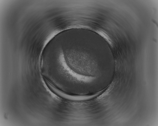 X0000091491046200708231418