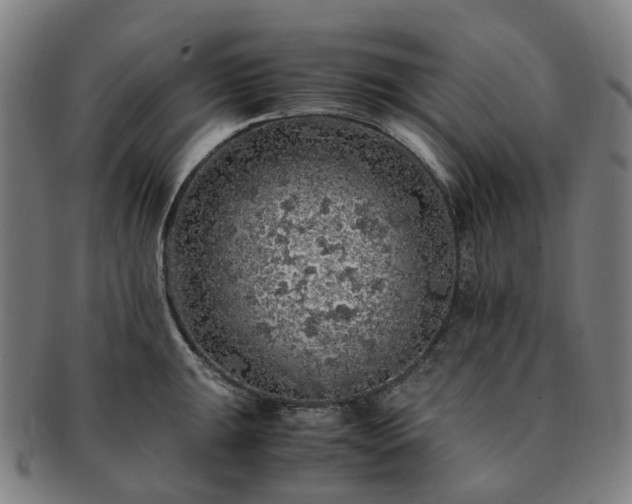 X0000091491047200708231418