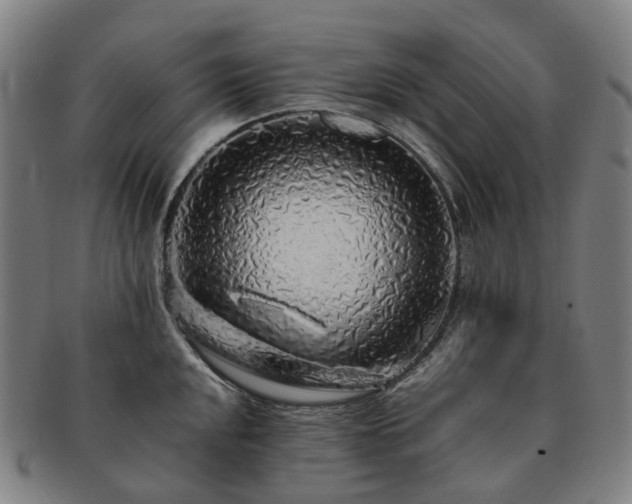 X0000091491048200708231418