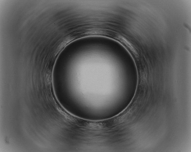 X0000091491049200708231418