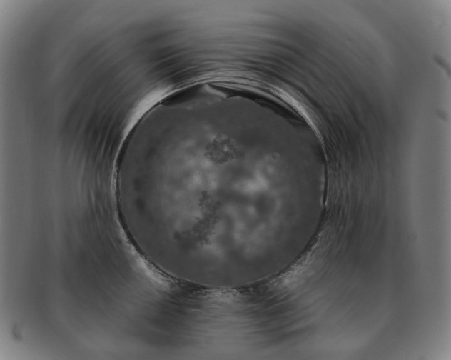 X0000091491050200708231418