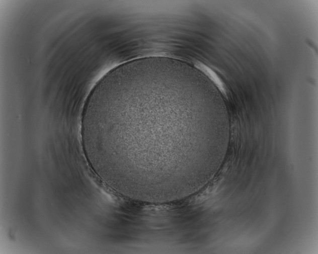 X0000091491051200708231418