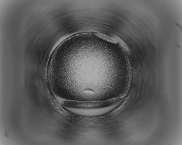 X0000091491052200708231418