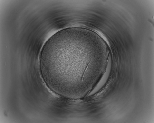 X0000091491053200708231418