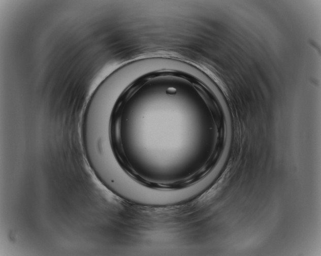 X0000091491054200708231418
