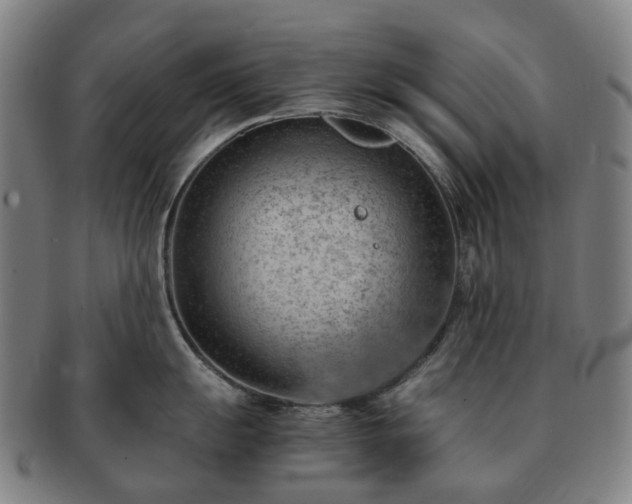 X0000091491055200708231418