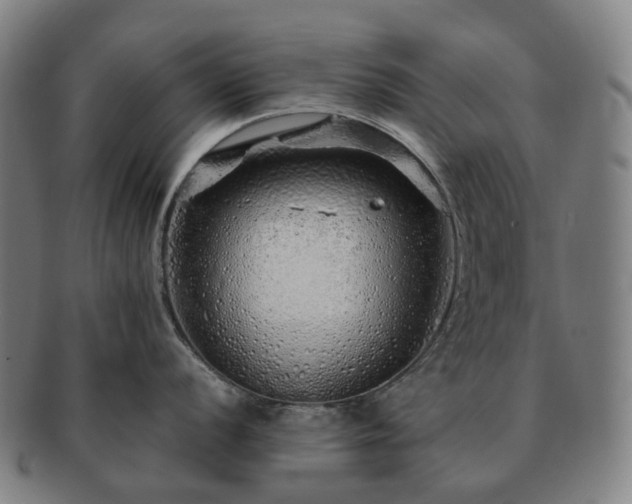 X0000091491056200708231418