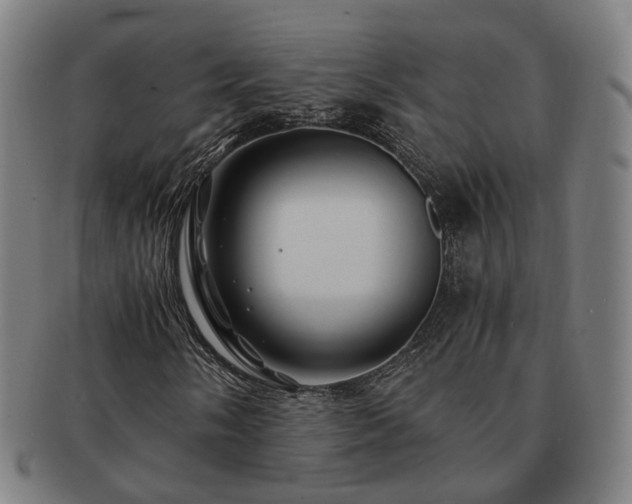 X0000091491058200708231417