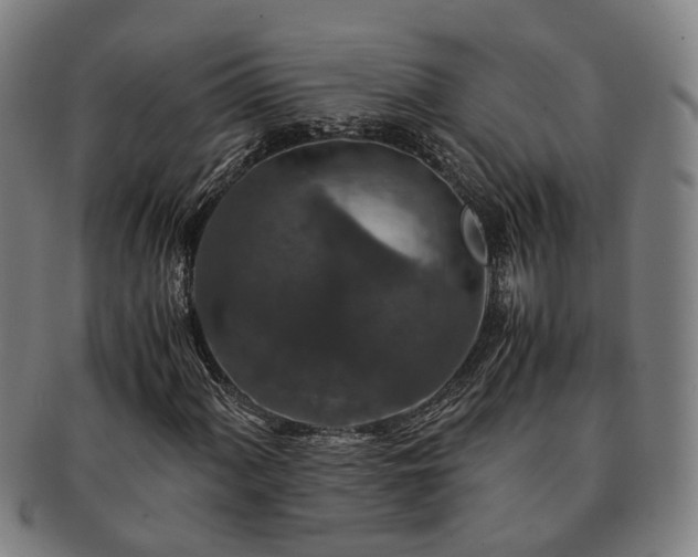 X0000091491060200708231417