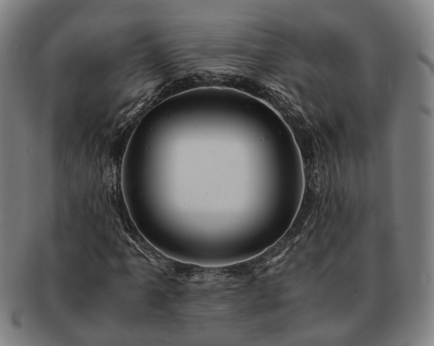 X0000091491061200708231417