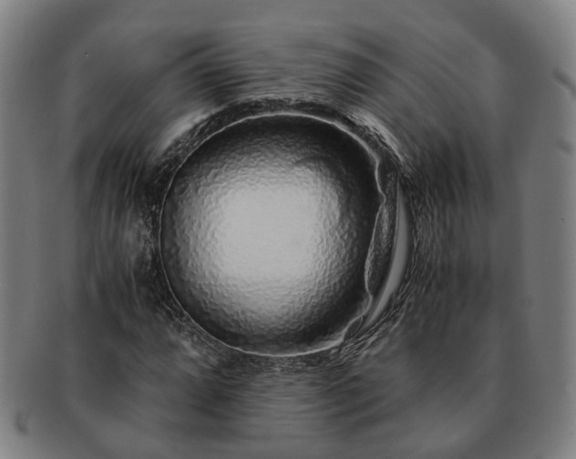 X0000091491064200708231417