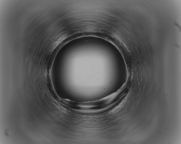 X0000091491065200708231417