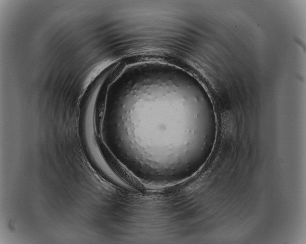X0000091491066200708231417