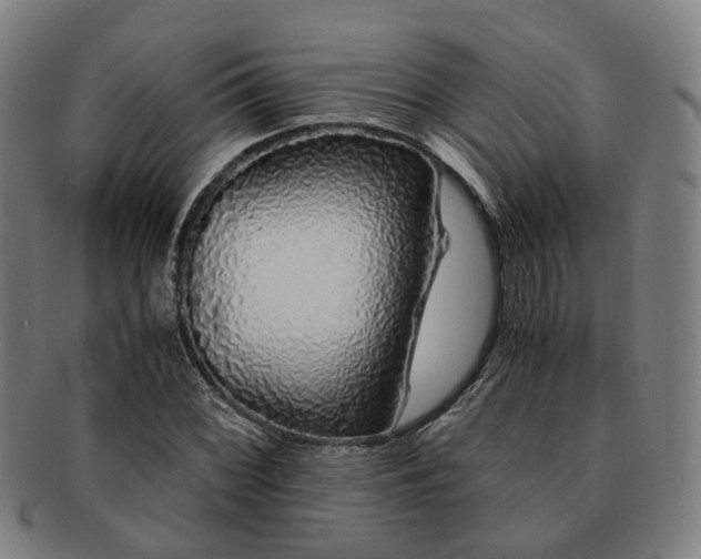 X0000091491068200708231417