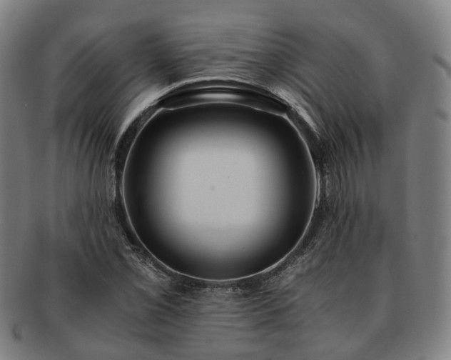 X0000091491069200708231417