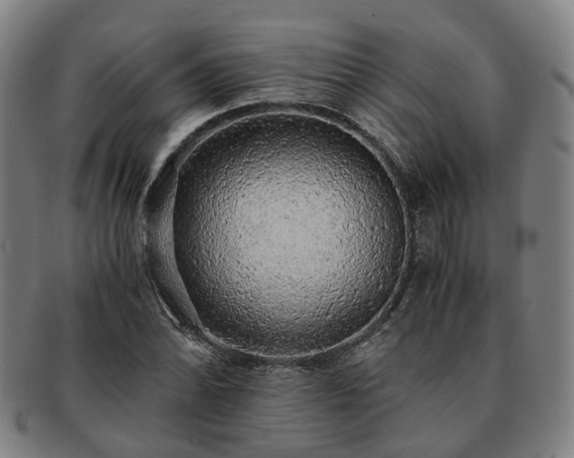 X0000091491070200708231417