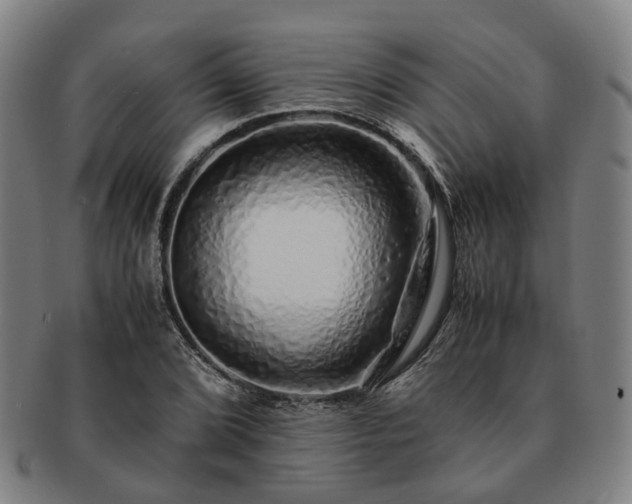 X0000091491072200708231417