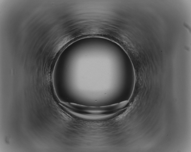 X0000091491073200708231417