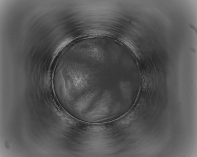 X0000091491074200708231417