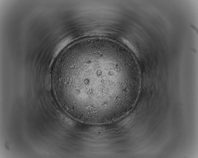 X0000091491075200708231417