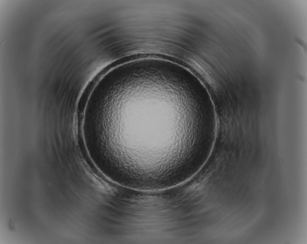 X0000091491076200708231417
